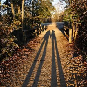 5x7 Original Photography Best Friends Silhouette